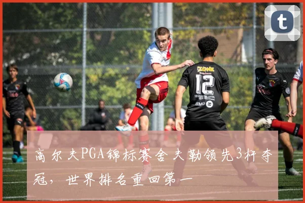 高尔夫PGA锦标赛舍夫勒领先3杆夺冠，世界排名重回第一