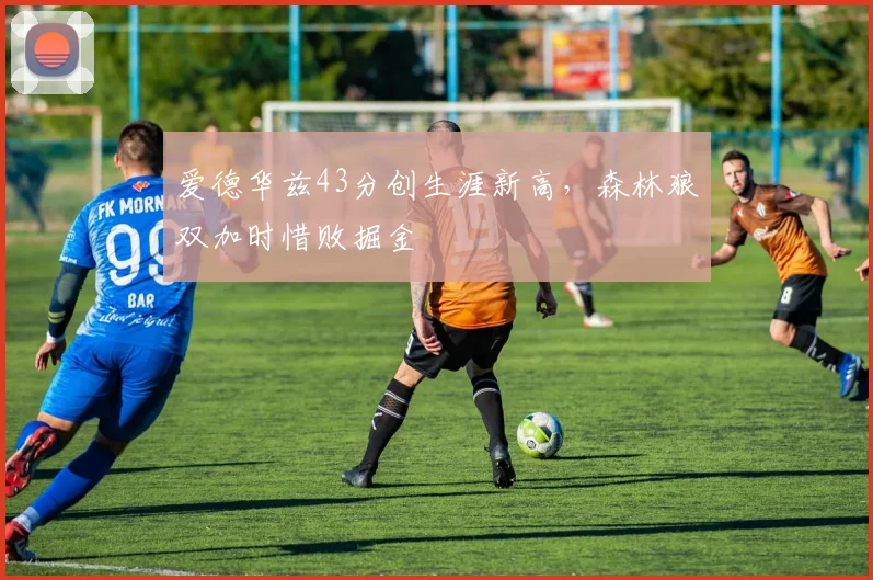 爱德华兹43分创生涯新高，森林狼双加时惜败掘金